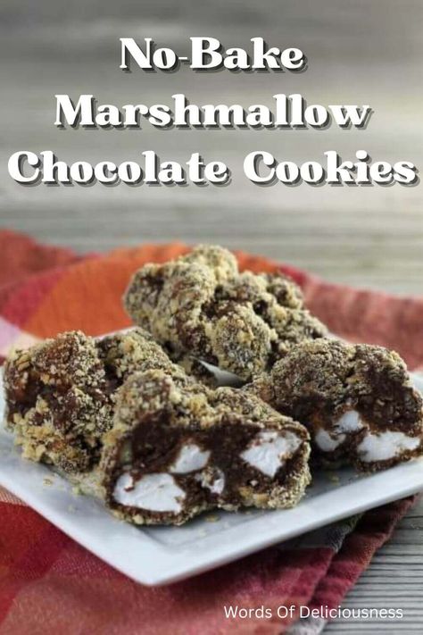 No-Bake Marshmallow Chocolate Cookies are made with a handful of ingredients and are a family favorite. A simple cookie that you don't have to turn the oven on for. # nobakemarshmallowcookies #wordsofdeliciousness Marshmallow Desserts, Marshmallow Chocolate, Simple Cookie, Bakers Chocolate, Marshmallow Cookies, Cracker Cookies, Favorite Cookie Recipe, Yummy Dessert, Chocolate Marshmallows