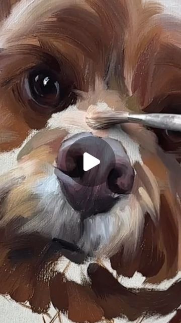 Dog Portraits, Pet Portrait, Pet Portraits, Stretched Canvas, Stretch Canvas, Oil Painting, Pet, Canvas, On Instagram