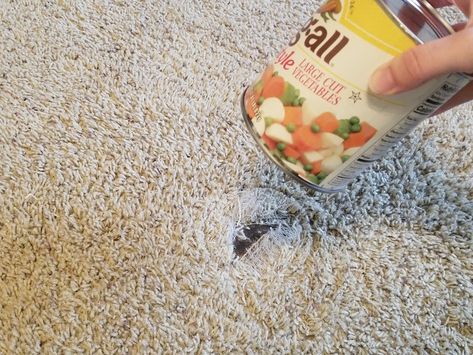 If your carpet has an unseemly stain, hole, or... Carpet Repair, Patch Hole, Carpet Fitting, Utility Knives, Carpet Padding, Repair Guide, Best Carpet, Home Upgrades, Dog Chews