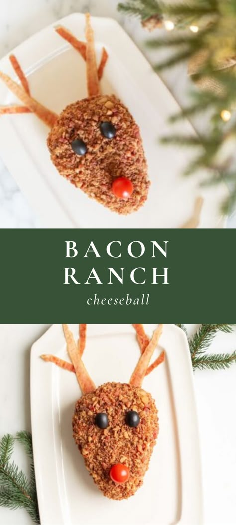 This Bacon Ranch Cheddar Cheeseball is so cute and festive for the holidays! Shaped into a charming reindeer, this Christmas cheese ball will be the hit of your parties this year – a bacon cheese ball has never looked so cute!  #cheeseball #christmas #recipe #appetizer Christmas Cheeseball Ideas, Rudolph Cheese Ball, Reindeer Appetizers, Reindeer Cheese Ball, Rudolph Cheese Ball Recipes Easy, Christmas Tree Cheeseball, Cheeseball Christmas, Animal Cheese Ball, Christmas Cheese Balls