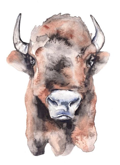 5 x 7 original watercolor painting of a buffalo bison face | Etsy Pencil And Watercolor, Buffalo Bison, Southwestern Decor, Personalized Stationary, Face Portrait, Clear Plastic Bags, Southwestern Decorating, Stationary Set, Custom Watercolor