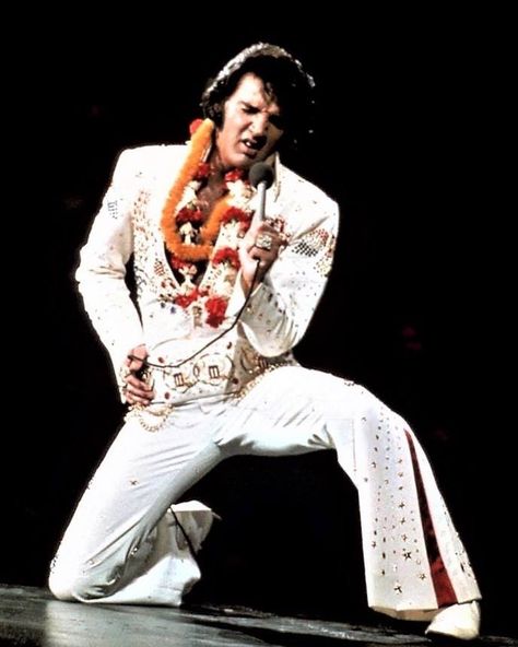 Elvis Presley IG 🔷 on Instagram: “«Suspicious Minds» - Hawaii, 1973! 👑” Elvis Aloha From Hawaii, Cher Bono, Elvis Jumpsuits, Elvis In Concert, Suspicious Minds, Elvis Presley Images, Elvis Presley Pictures, Joseph Jackson, King Of Pop