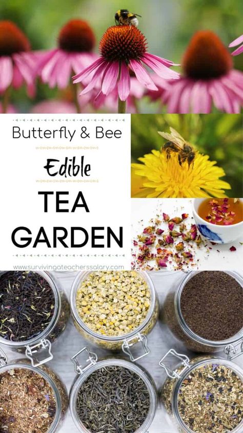 Butterfly And Bee Garden, Tea Blends Recipes, Herbal Tea Garden, Medicinal Herbs Garden, Herbal Teas Recipes, Tea Diy, Bee Garden, Meaningful Relationships, Pollinator Garden