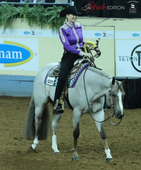 Mounted Shooting, Western Pleasure Horses, Horse Showing, Horse Pics, Western Pleasure, Western Girl, Horse Drawing, Barrel Racing, Pretty Horses