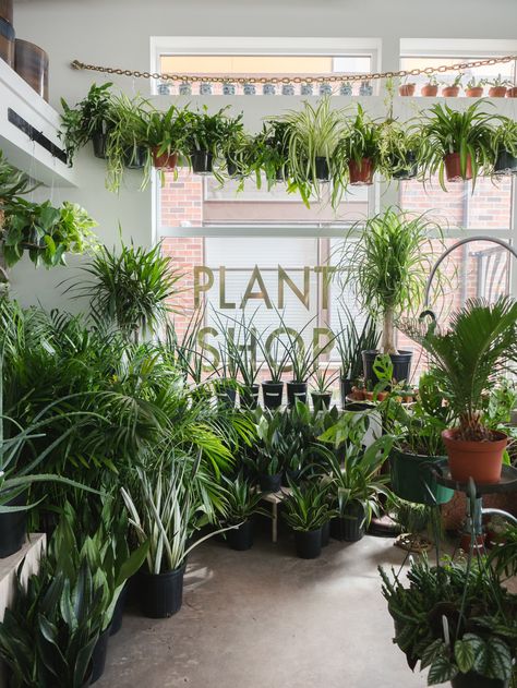 These 7 Awesome Plant Stores Will Help Up Your Interior Design Game - GQ Plant Shop Ideas, Plant Shops, Plant Business, Flower Shop Interiors, Flower Shop Decor, Flower Shop Design, Plant Store, Interior Design Games, Flower Store