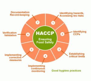 Protect Your Customers, Brand and Livelihood with HACCP – the CAMBRO blog Food Microbiology, Food Safety Posters, Food Safety And Sanitation, Food Lessons, Food Safety Training, Cleaning Cars, Cucumber Rolls, Food Safety Tips, Kitchen Science