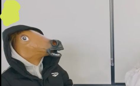 Han Jisung Horse, Meme Background, Horse Mask, Kpop Backgrounds, Live Backgrounds, Foto Top, Kids Background, Nct Doyoung, Treasure Planet