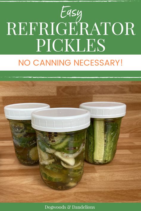 3 jars of refrigerator dill pickles sitting on a wooden background Hamburger Dill Pickle Recipe, Easy Dill Pickle Recipe, Preserving Cucumbers, Easy Dill Pickles, Refrigerator Dill Pickles, Refrigerator Pickles Dill, Refrigerator Pickle Recipes, Easy Pickling Recipes, Easy Pickle