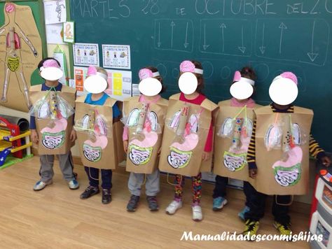 Maquetas y modelos escolares para trabajar el cuerpo humano – Imagenes Educativas Lung Project, Human Body Crafts, Project Science, Human Body Projects, Human Body Science, Human Body Activities, Science Models, Human Body Unit, Body Craft