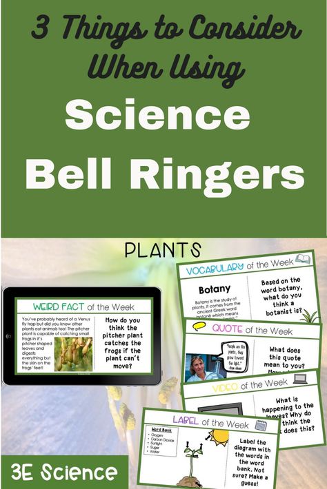 Science Bell Ringers Middle School, Middle School Bell Ringers, Bell Ringers For Middle School, Science Bell Ringers, Classroom Agenda, Ocean Zones, Physical Science Lessons, Sixth Grade Science, Earth Science Lessons