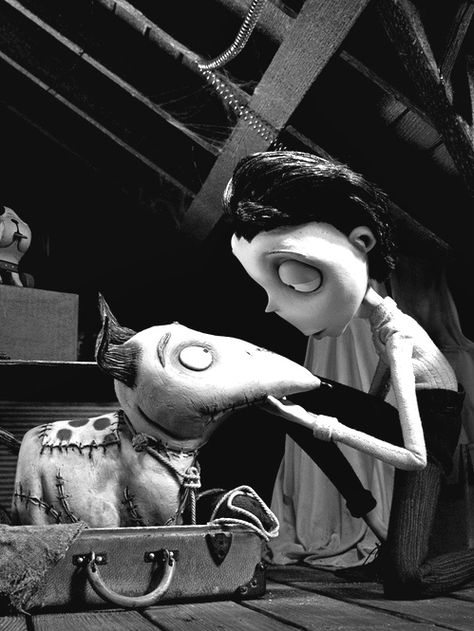 Frankenweenie Franken Weenie, Tim Burton Animation, Tim Burton Personajes, Tim Burton Disney, Tim Burton Vibes, Tim Burton Characters, Victor Frankenstein, Tim Burton Movies, Halloween Film