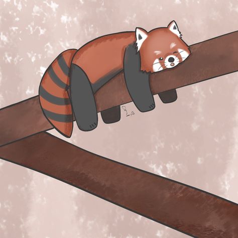 Cute red Panda sleeping on a tree, I love red pandas 😍😍 Panda On Tree, Red Panda Christmas, Red Panda Sleeping, Christmas Drawing Easy, Red Panda Illustration, Panda Christmas, Panda Illustration, Little Drawings, Red Pandas