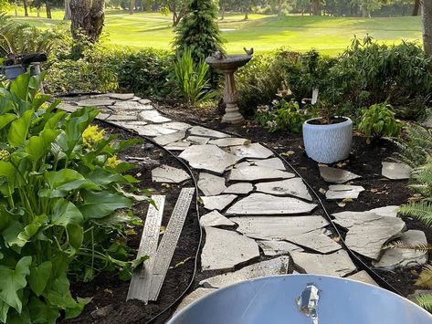 Flagstone Garden Path, Flagstone Pathway Side Of House, Laying Flagstone Walkways, Sandstone Stepping Stones Garden Paths, Flagstone With Grass In Between, Flagstone Pathway In Grass Paths, Shrubs For Landscaping, Box Wood Shrub, Flagstone Path