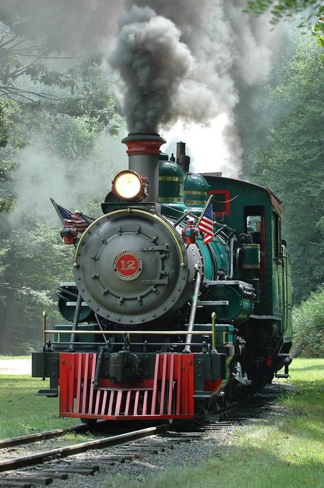 You'll Want To Hop On Board At Tweetsie Railroad Disney Tattoo Ideas, Steam Trains Photography, Gordon Lightfoot, Old Train Station, Steam Engine Trains, Scenic Railroads, Disney Tattoo, Railroad Photography, Train Art