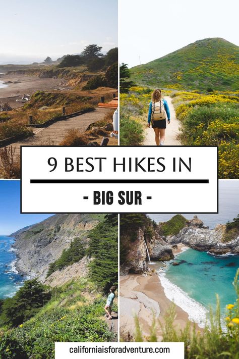 Enjoy the best hikes in Big Sur, such as the scenic Buzzard's Roost Trail and the breathtaking views from the Panorama Trail. Don’t miss the chance to explore these amazing paths. Check out my post on hikes in Big Sur for more info! Pnw Hikes, Big Sur Trip, Pnw Coast, California Coast Road Trip, Big Sur Coastline, Coastal Redwood, Moonstone Beach, Oregon Hikes, Central Coast California