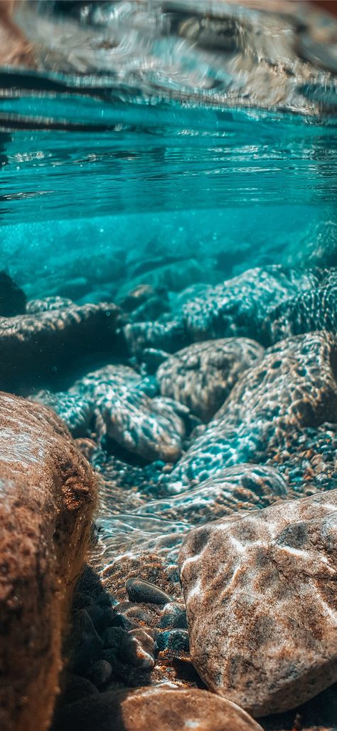 underwater photography of brown stones #water #ocean #nature #animal Iphone Wallpaper Underwater, Iphone Wallpaper Size, Underwater Wallpaper, Water Images, Free Background Images, Tumblr Backgrounds, Tumblr Pics, Ocean Pictures, Ocean Wallpaper