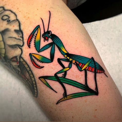 Classic Style Tattoo Old School, American Traditional Praying Mantis Tattoo, Old Style Butterfly Tattoo, American Traditional Caterpillar Tattoo, Traditional Mantis Tattoo, Old School Bug Tattoo, American Traditional Insect Tattoo, American Traditional Bug Tattoo, Praying Mantis Tattoo Traditional