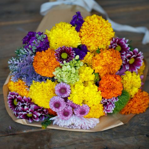 Marigold Bouquet, Flower Marigold, Marigold Seeds, Growing Marigolds, Annual Garden, Marigold Flowers, When To Plant, Healthy Travel, Marigold Flower