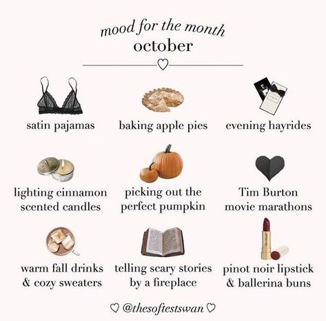 Niche Memes, Fall Mood Board, Etiquette And Manners, Fall Bucket List, Fall Inspo, Aesthetic Things, Classy Aesthetic, Fall Feels, Princess Aesthetic