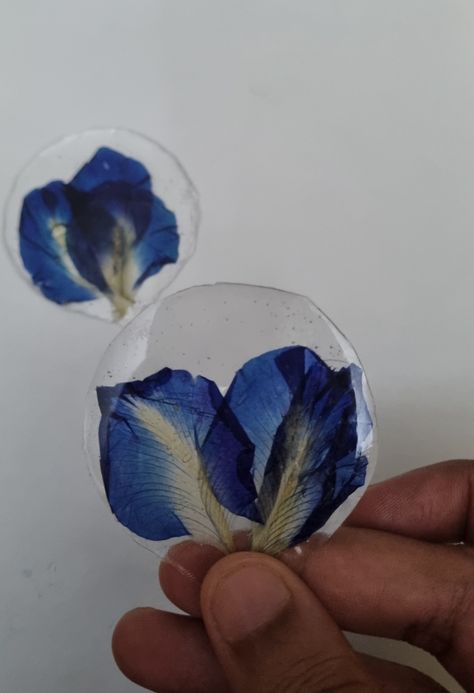 Dried Preserve Butterfly Pea Flower Petals in Resin Preserve Flowers In Resin, Preserve Flowers, Flowers In Resin, Butterfly Pea Flower, Butterfly Pea, Pea Flower, Flower Petal, Resin Flowers, How To Preserve Flowers