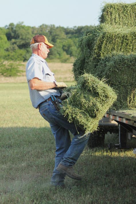 Farm Day, Ranch Life, Country Scenes, Farms Living, Down On The Farm, Rural Life, Old Farm, Country Farm, Family Farm