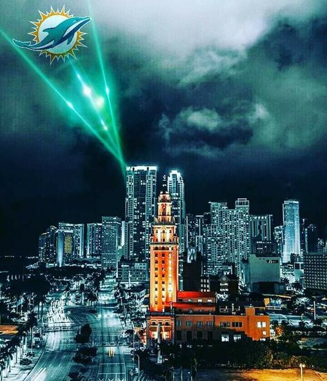 Miami Dolphins Game Day, Miami Dolphins Wallpaper, Dolphins Wallpaper, Dolphin Fin, Nfl Logos, Miami Dolphins Football, Dolphins Football, Football Love, Club America