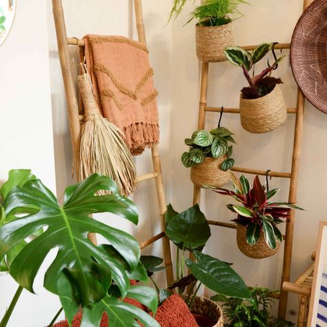 Wall Ladder Decor, Ladder Plant Hanger, Bamboo Bedroom, Bamboo Ladder, Wooden Blanket Ladder, Plant Ladder, Garden Sitting Areas, Wall Ladder, Bamboo Ladders