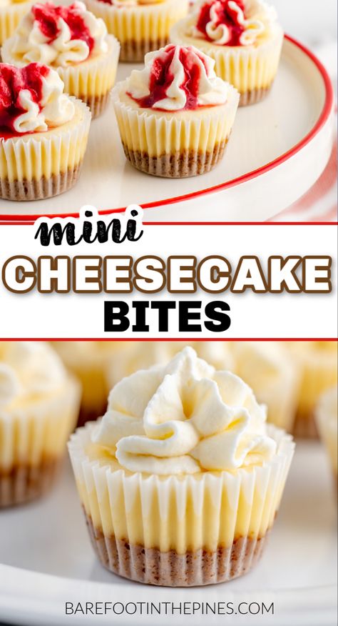 Mini No Bake Cheesecake, Mini Cheesecakes Easy, Mini Cheesecake Bites, Mini Cupcake Pan, Cheesecake Bites Recipe, Mini Dessert Recipes, Mini Cheesecake Recipes, Dessert Bites, Bite Size Desserts