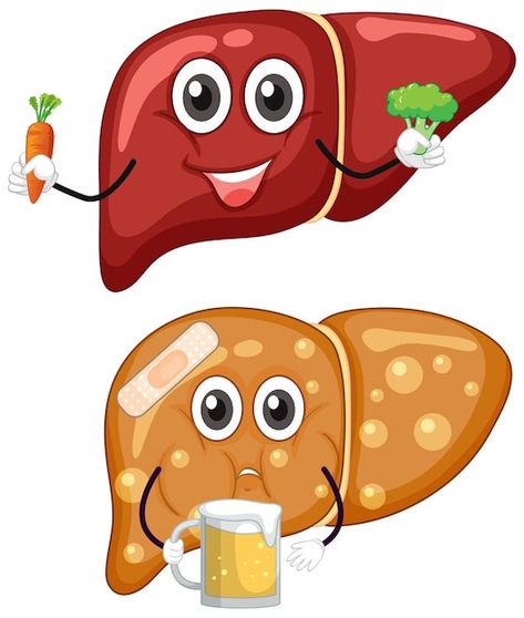 Liver Cartoon, Body Flush, Proper Hygiene, Liver Detoxification, Face Wrinkles, Liver Detox, Healthy Liver, Liver Health, Digestion Problems