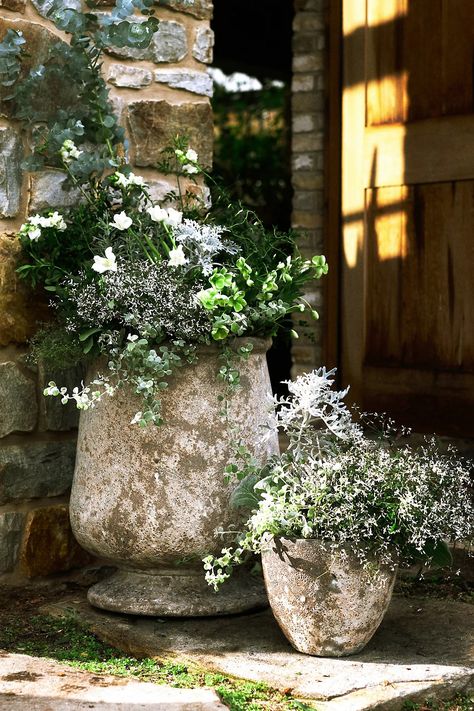 Barnacle Urn, 20" | Terrain Summer Planter, Herb Gardens, Garden Urns, Urn Planters, Flower Pot Garden, Sag Harbor, Greenhouses, Flower Planters, Outdoor Planters