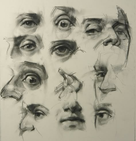 Facial features, charcoal on paper. www.davidshevlino.com 얼굴 드로잉, Human Anatomy Art, Anatomy Sketches, Arte Sketchbook, Anatomy Drawing, Arte Inspo, Facial Features, Anatomy Art, Drawing Tutorials