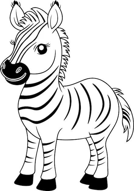 Zebra Outline, Zebra Vector, Zebra Coloring Pages, Zebra Drawing, Zebra Pictures, Zebra Face, Black And White Outline, Line Diagram, Illustration Black And White