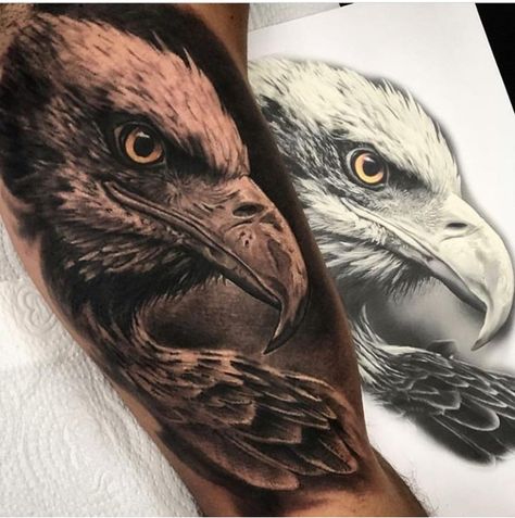 Eagle Tattoo Men, Tattoo Bicep, Tato Phoenix, Eagle Head Tattoo, Black And Grey Realism, Tiger Tattoo Sleeve, Inner Bicep Tattoo, Catrina Tattoo, Inner Arm Tattoo