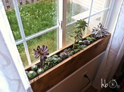 Custom built in window box for succulents or other light loving plants Window Box, Window Sill, The Window, Succulent, Plants