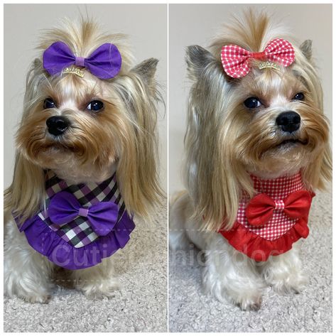 PDF Pattern and DIY Tutorial How to Sew a Dog Girl Bandana With Ruffle and Head Bow 5 Sizes for Dogs for Neck 9-18 Inch 23-47 Cm A4/letter - Etsy Bib Tutorial, Girl Dog Bandana, Ruffles Pattern, Dog Girl, Cute Small Dogs, Girl Dog, Girl And Dog, How To Sew, Girls Bows