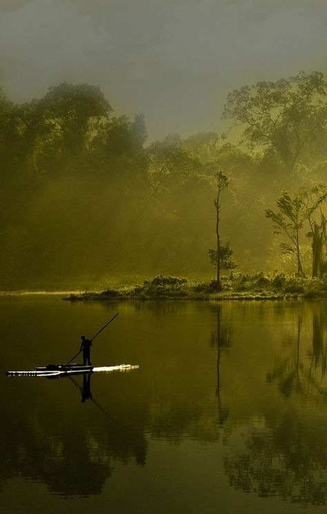 Sukabumi, West Java, Indonesia Image Nature, West Java, Foto Art, Olive Green Color, Olive Color, World Of Color, Green Aesthetic, Art Plastique, Beautiful World