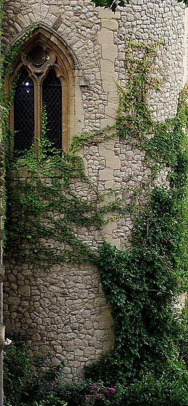 What lies in the tallest tower of the castle, no one knows. Though at night if you look closely, you will see a glimmer of light. Tower Balcony, Tangled Aesthetic, Castle Window, Castle Tower, Beautiful Windows, Concept Board, Tower Of London, Old Stone, Old Building