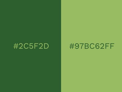 Cool Color Combinations, 2 Color Combinations, Colours That Go Together, Perfect Color Combinations, Color Pairs, Color Pallete, Duo Tone, Good Color Combinations, Colour Combos