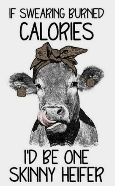 Cow Sayings, Funny Cow Pictures, Cow Jokes, Cow Quotes, Art Sayings, Inappropriate Shirts, Towel Ideas, Funny Day Quotes, Vinyl Creations