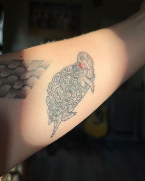 Red Eared Slider Tattoo, Red Slider Turtle, Red Ear Slider, Slider Turtle, Lady Bug Tattoo, Red Eared Slider, Bug Tattoo, Hair Clothes, Tattoo Inspo