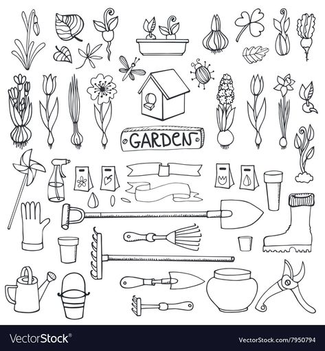 Spring Symbols, Vector Garden, Garden Sketch, Bulb Garden, Plant Doodle, Spring Gardening, Garden Illustration, Drawn Flowers, Vector Elements