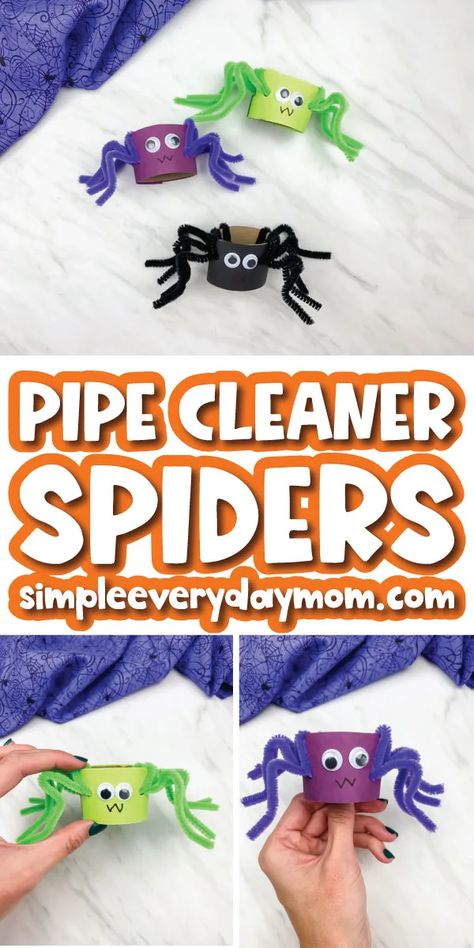 Pipe Cleaner Spiders For Kids, Pipe Cleaner Fall Crafts, Autumn Homeschool, Fun Easy Halloween Crafts, Halloween Toilet Paper Roll Crafts, Fun Toilet, Spider Party, Easy Halloween Craft, Craft For Preschool