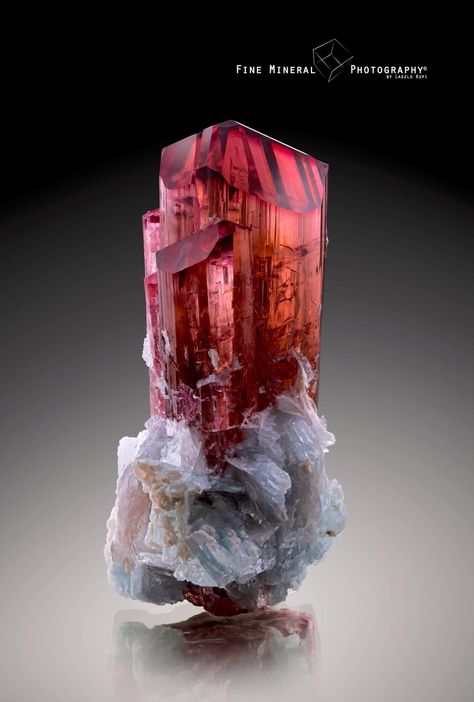 Minerals Crystals Rocks, Red Tourmaline, Rubellite Tourmaline, Fine Minerals, Pretty Rocks, Beautiful Rocks, Minerals And Gemstones, Rocks And Gems, Tourmaline Crystal