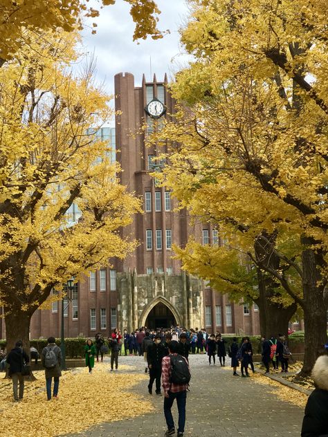 Sophia University Tokyo, Tokyo University Of The Arts, University Of Tokyo Aesthetic, University In Japan, Japan University, University Background, Japanese University, University Of Tokyo, Tokyo University