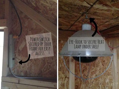 Heat Lamp In Chicken Coop, How To Hang Chicken Feeders, Egg Business, Brooder Box, Chicken Coop Garden, Chicken Poop, Chicken Feeders, Coop Ideas, Backyard Chicken Farming