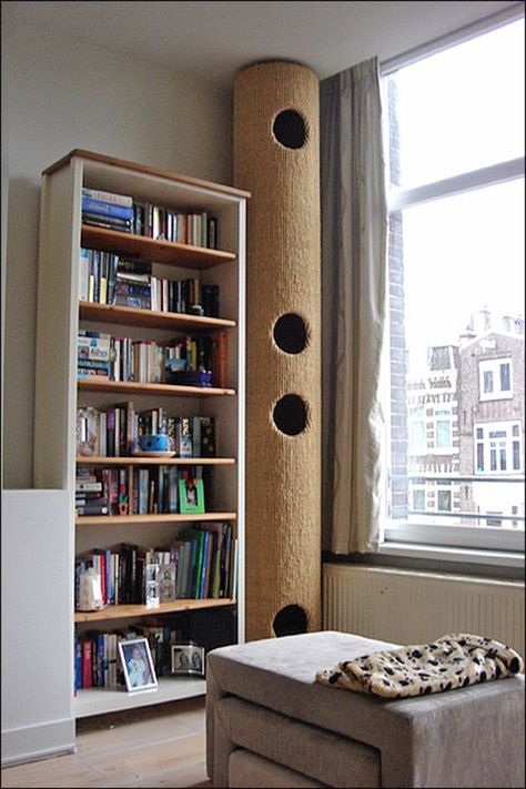 Katt Diy, Cat Furniture Design, Katt Grejer, Kat Diy, Cat Climber, Diy Cat Tree, Cat Towers, Cat Shelves, Modern Cat