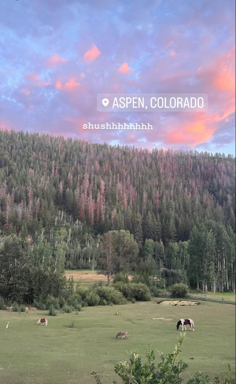 Aspen Colorado Aesthetic, Colorado Aesthetic, Colorado Summer, Living In Colorado, Aspen Colorado, Aesthetic Sunset, Colorado Travel, Future Travel, Beautiful Places To Travel