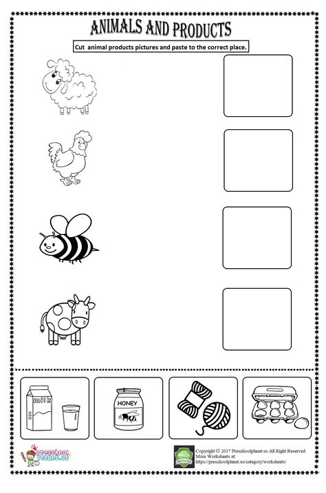 animal products worksheet Food From Animals Worksheet, Worksheet On Animals For Kindergarten, Animal Products Worksheet, Needs Of Animals Worksheet, Animals Needs Worksheet, Farm Animal Activities For Kindergarten, Farm Animals Worksheets For Kindergarten, Animal Needs Worksheet, Animals Worksheet Kindergarten