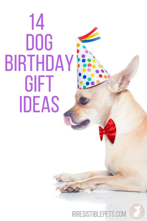 What do I buy my dog for its birthday?! We've rounded up of dog birthday gift ideas to help you out! In addition to a dog birthday cake, you need some fun dog toys too! Birthday Gifts For Dogs, Dog Birthday Gifts Ideas, Dog Birthday Present Ideas, Birthday Gift Ideas Diy, Dog Birthday Party Ideas, Jay Birthday, Dog Friendly Cake, Dog Birthday Presents, Dog Birthday Cake Recipe