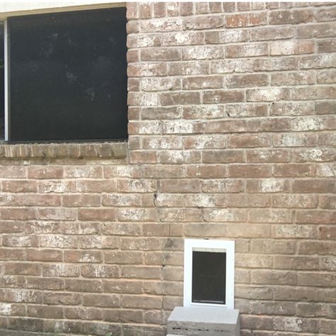 My take on a doggie door through brick install. #doggiedoor #Doggiedoorthroughbrick #holeinbrick #dogs #doghouse #puppynook #dogdoor #Dogdoorandbrick Dog Door Through Brick Wall, Dog Door In Brick Wall, Patio Dog Door, Diy Doggie Door, Dog Door Bell, Brick Veneer Wall, Diy Dog Run, Brick Wall Ideas, Brick Fireplace Wall